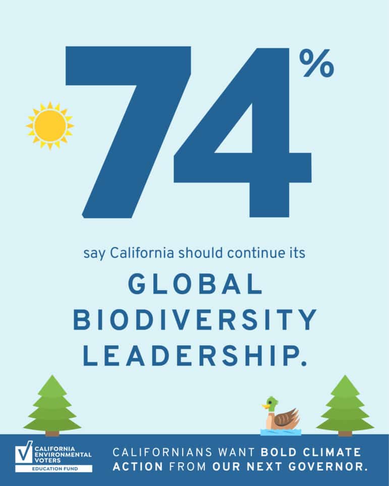 74% say California should continue its global diversity leadership.