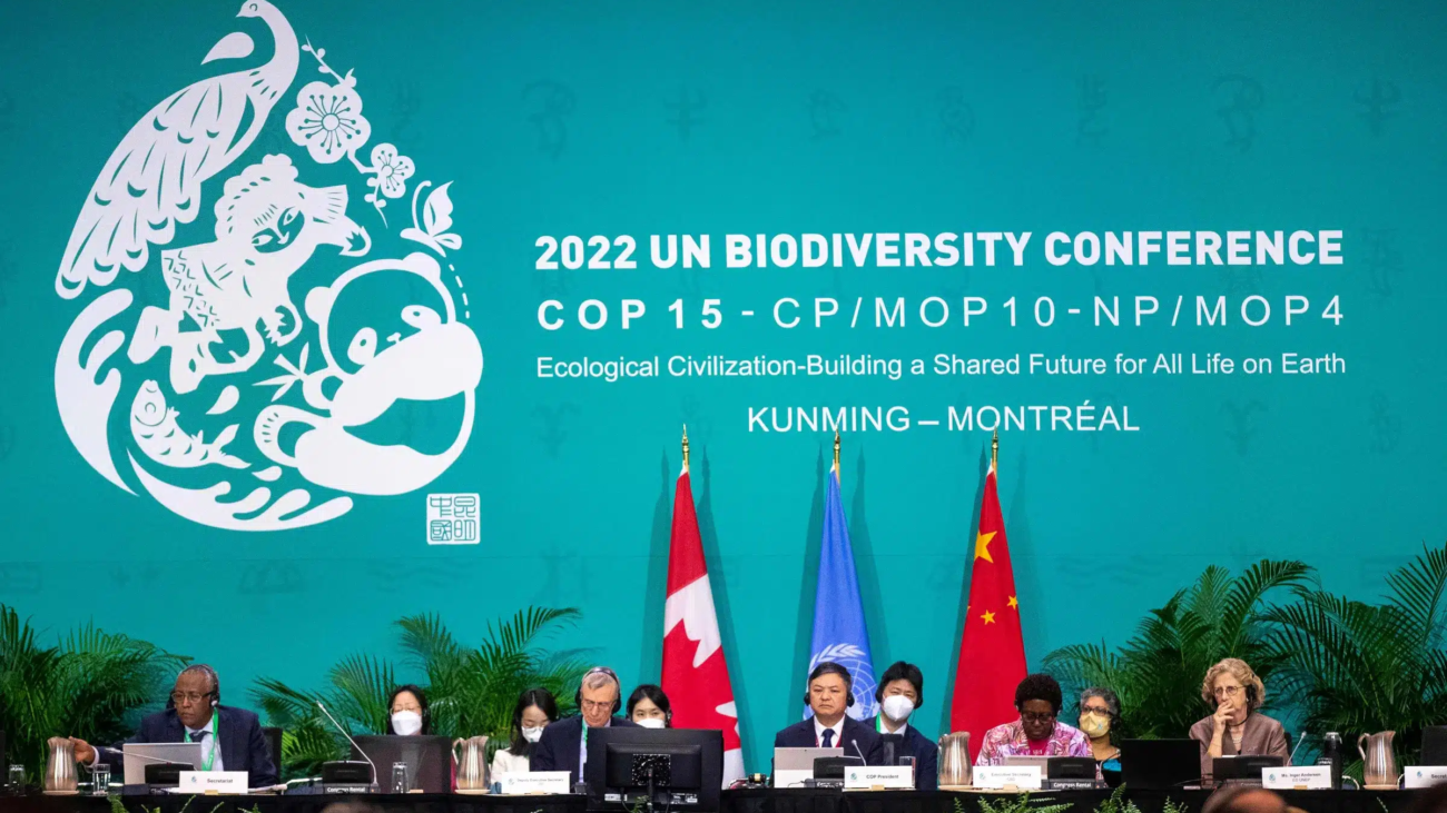 Delegates seated on stage at the 2022 UN Biodiversity Conference (COP15) in Montréal, where nearly 200 countries adopted the global 30x30 goal.