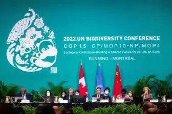 Delegates seated on stage at the 2022 UN Biodiversity Conference (COP15) in Montréal, where nearly 200 countries adopted the global 30x30 goal.